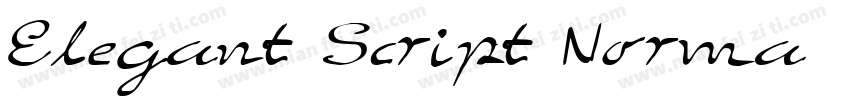Elegant Script Norma字体转换